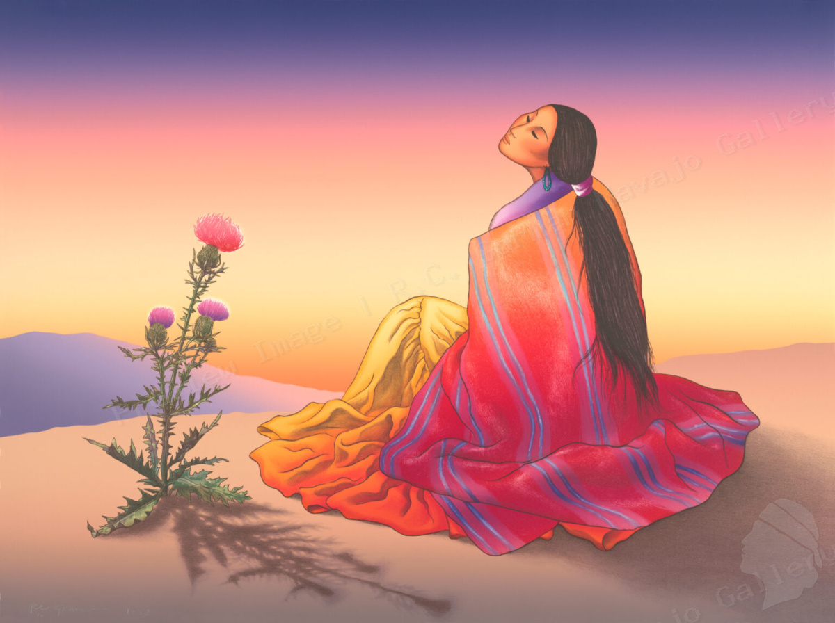 Navajo Dawn