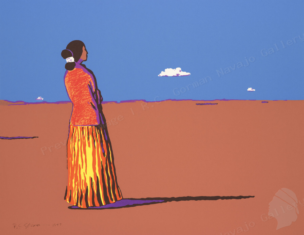 Navajo Summer